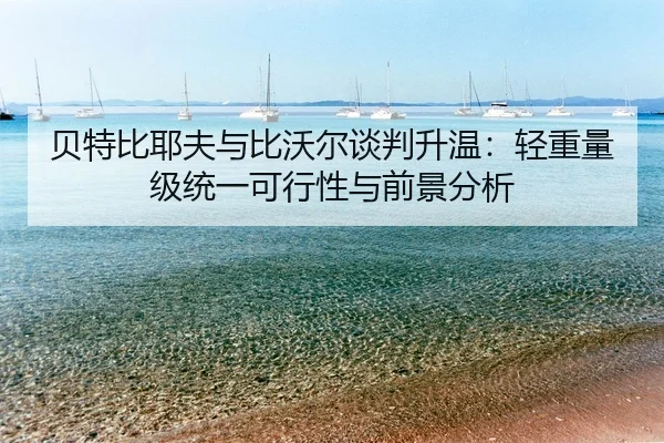 bei-te-bi-ye-fu-yu-bi-wo-er-tan-pan-sheng-wen-qing-zhong-liang-ji-tong-yi-ke-xing-xing-yu-qian-jing-fen-xi-2-827.jpg