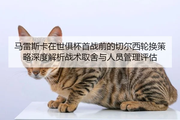 ma-lei-si-ka-zai-shi-ju-bei-shou-zhan-qian-de-qie-er-xi-lun-huan-ce-lve-shen-du-jie-xi-zhan-shu-qu-she-yu-ren-yuan-guan-2-286.jpg